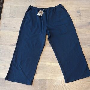 Patagonia Women's Dark Gray Hiking Pants